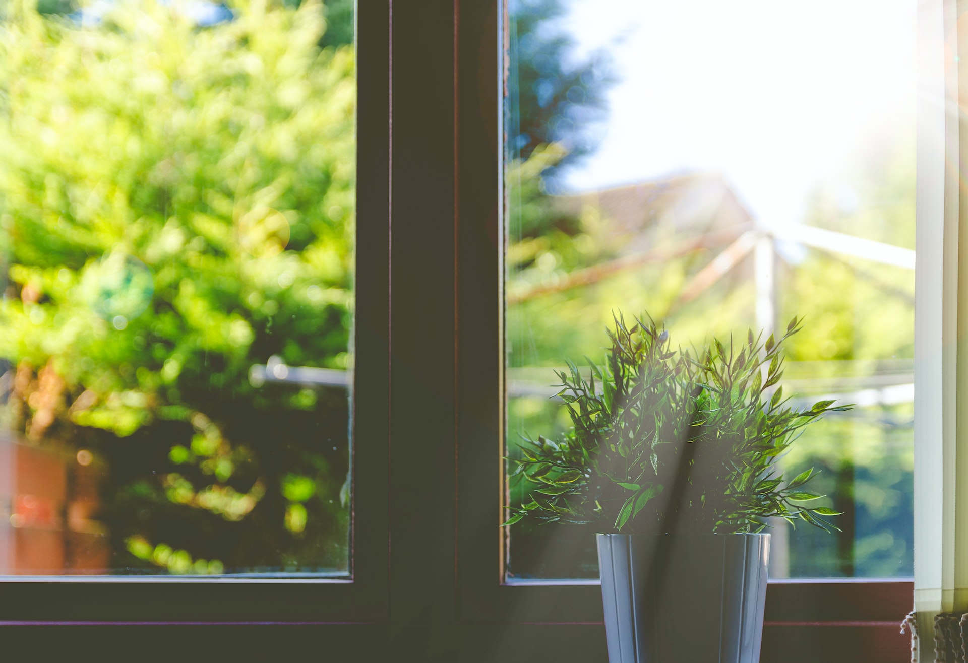 Sådan vælger du det rigtige vindue til dit hjem
